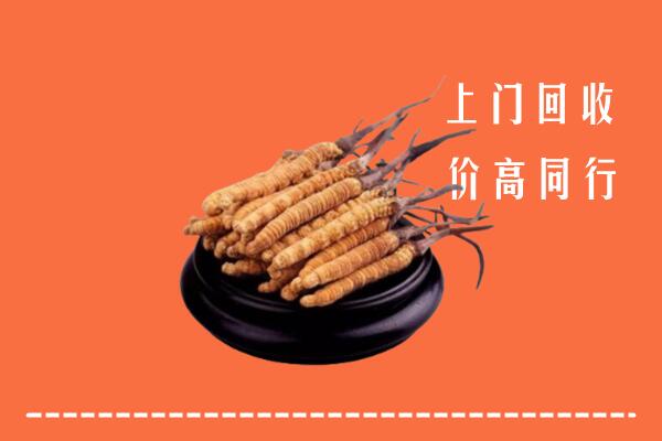高价求购：揭阳回收散虫草
