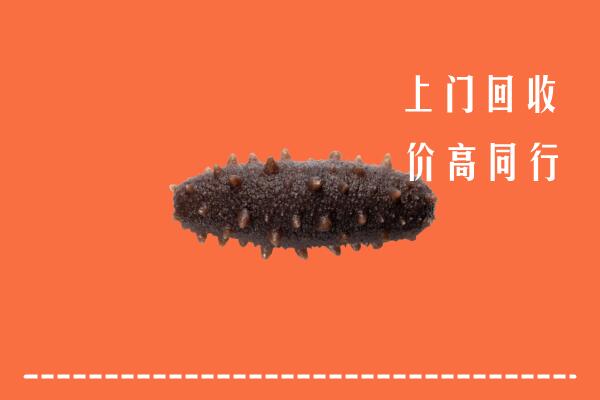 高价求购：揭阳回收海参