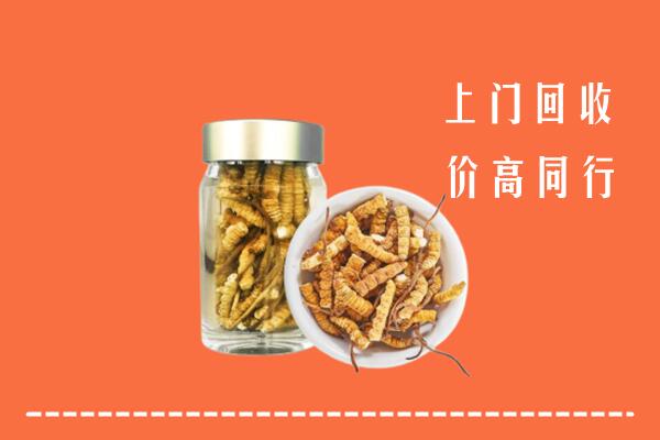 揭阳回收冬虫夏草