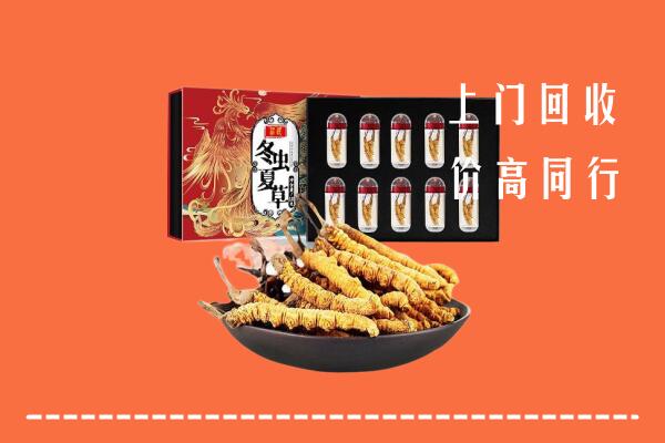 揭阳回收虫草